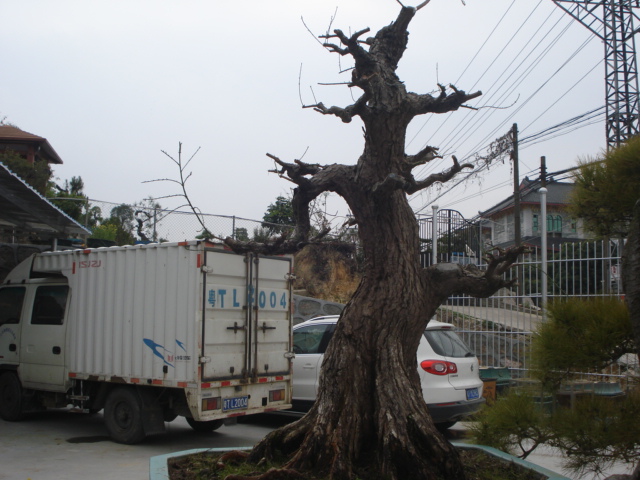 DSC01598.JPG