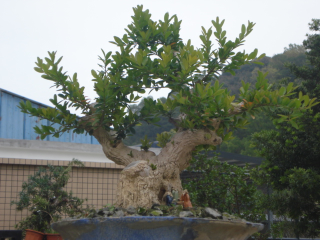 DSC01607.JPG