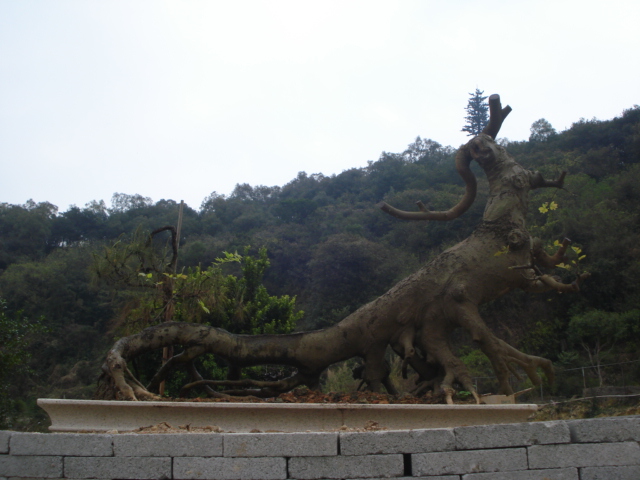 DSC01608.JPG