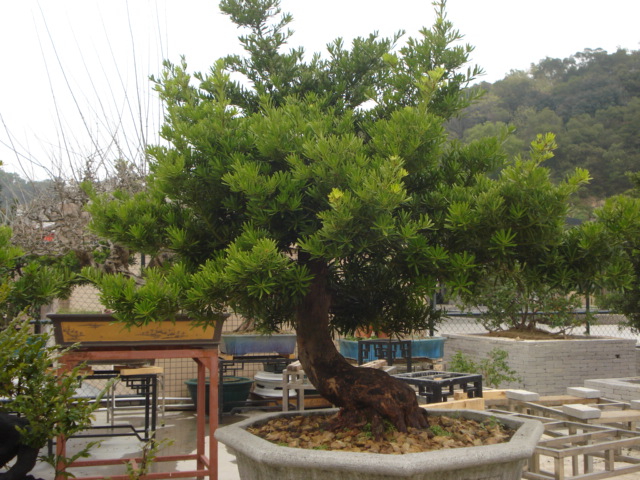 DSC01605.JPG