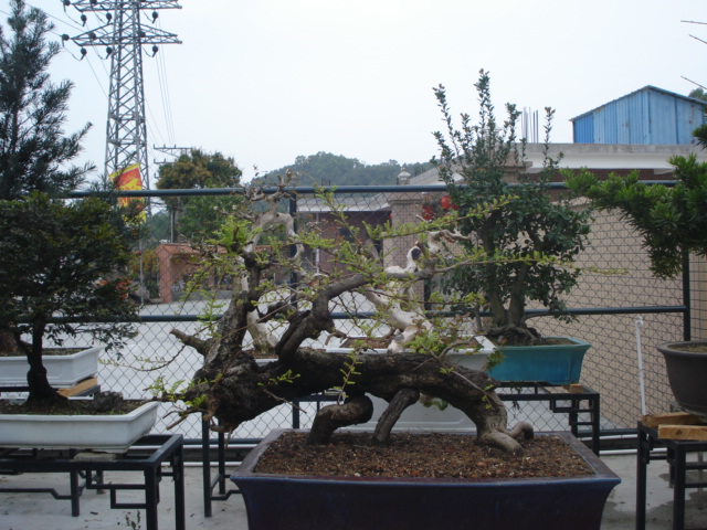 DSC01614.JPG