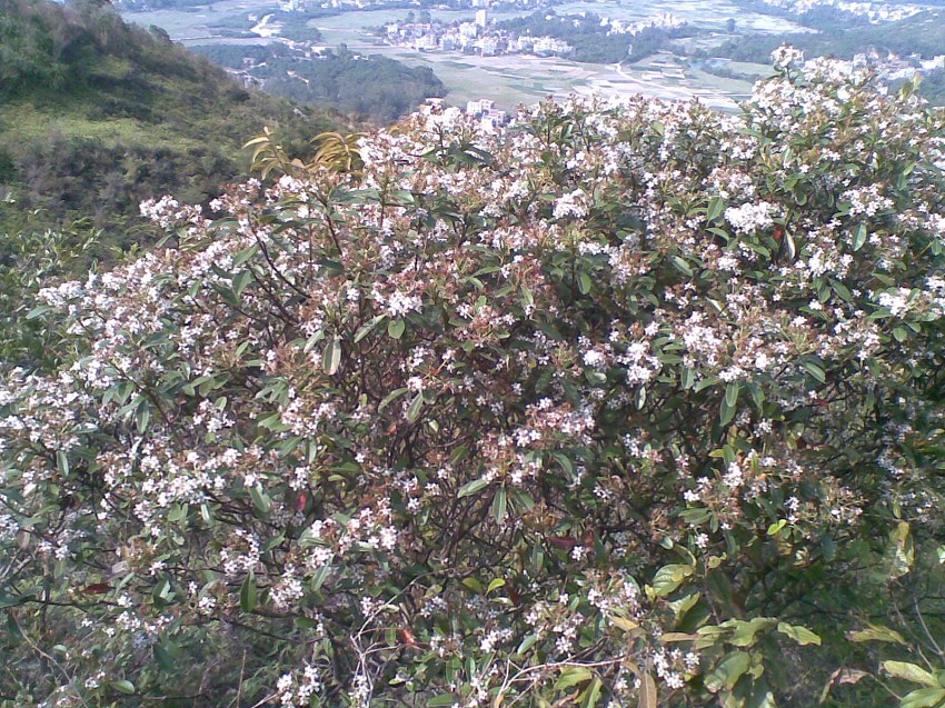 20140227(005)ͼ.jpg