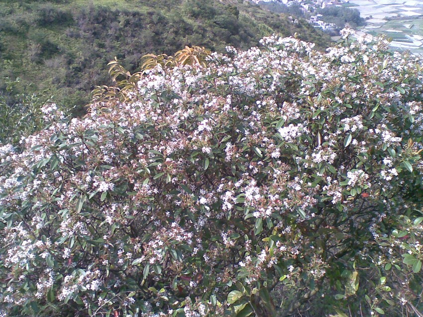 20140227(006)ͼ.jpg
