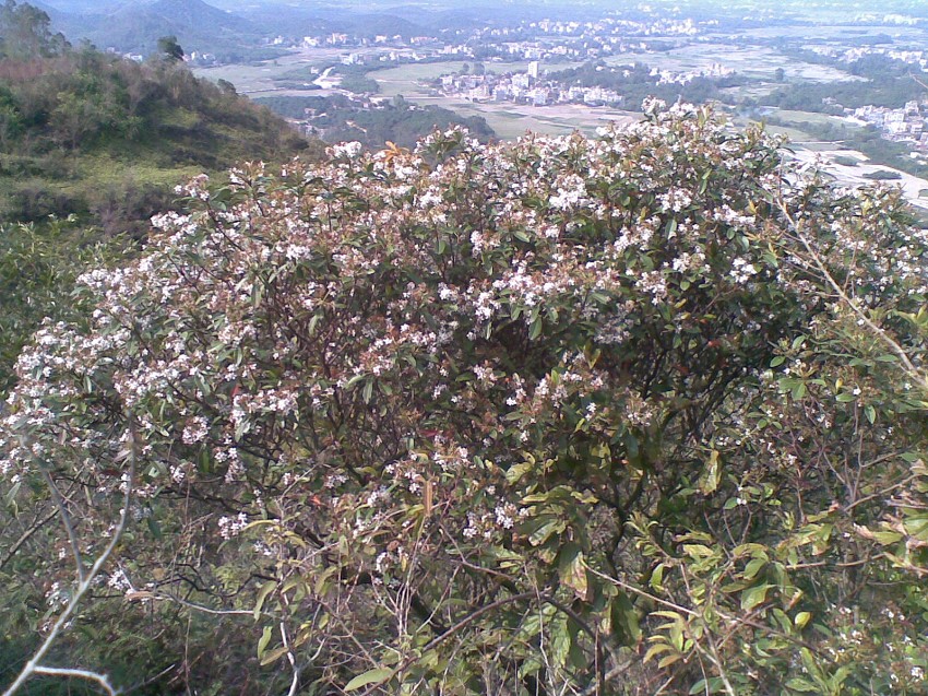 20140227(008)ͼ.jpg