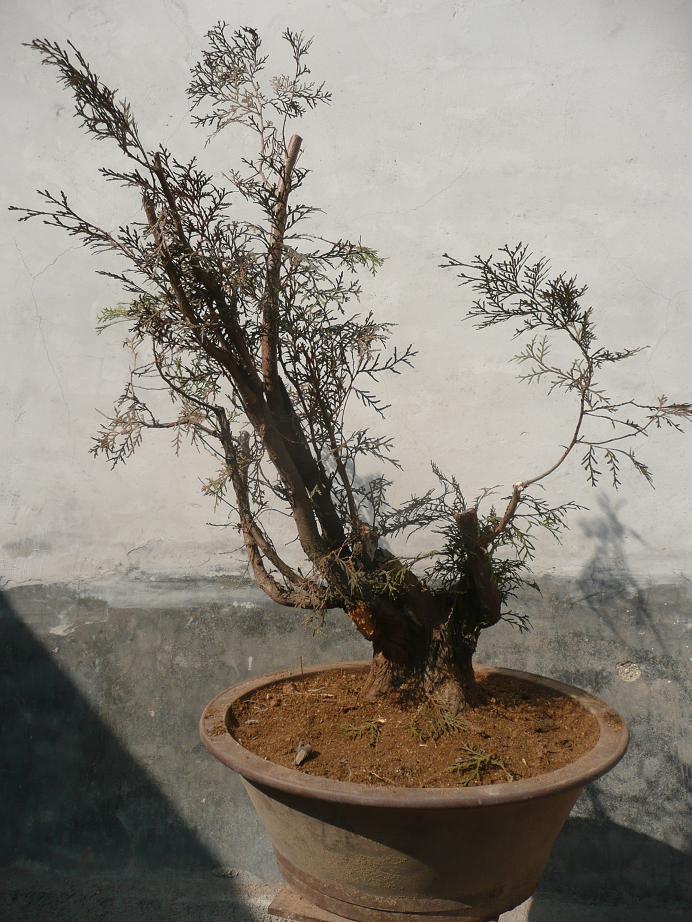 P1050210.JPG