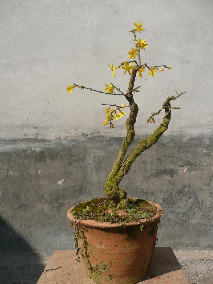 P1050211.JPG