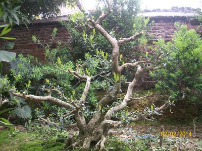 Ƭ 033_.jpg