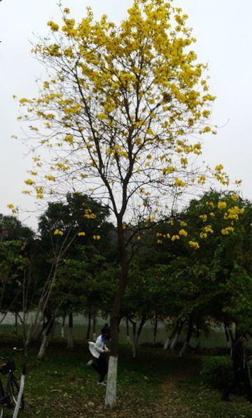 20140302_114954.jpg