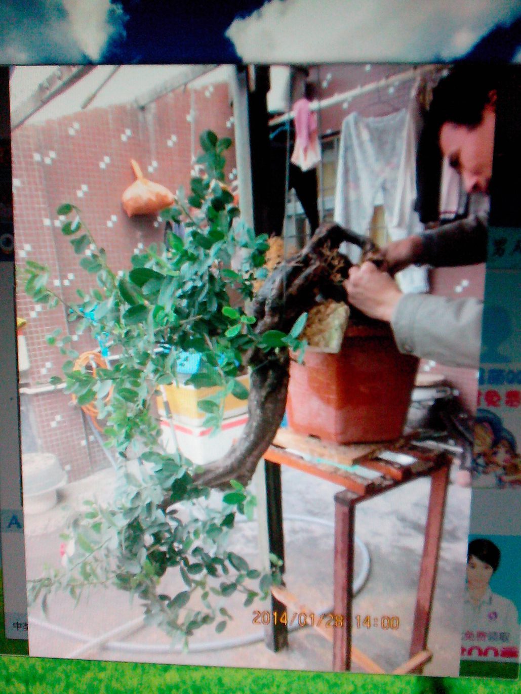 IMG20140227003.jpg