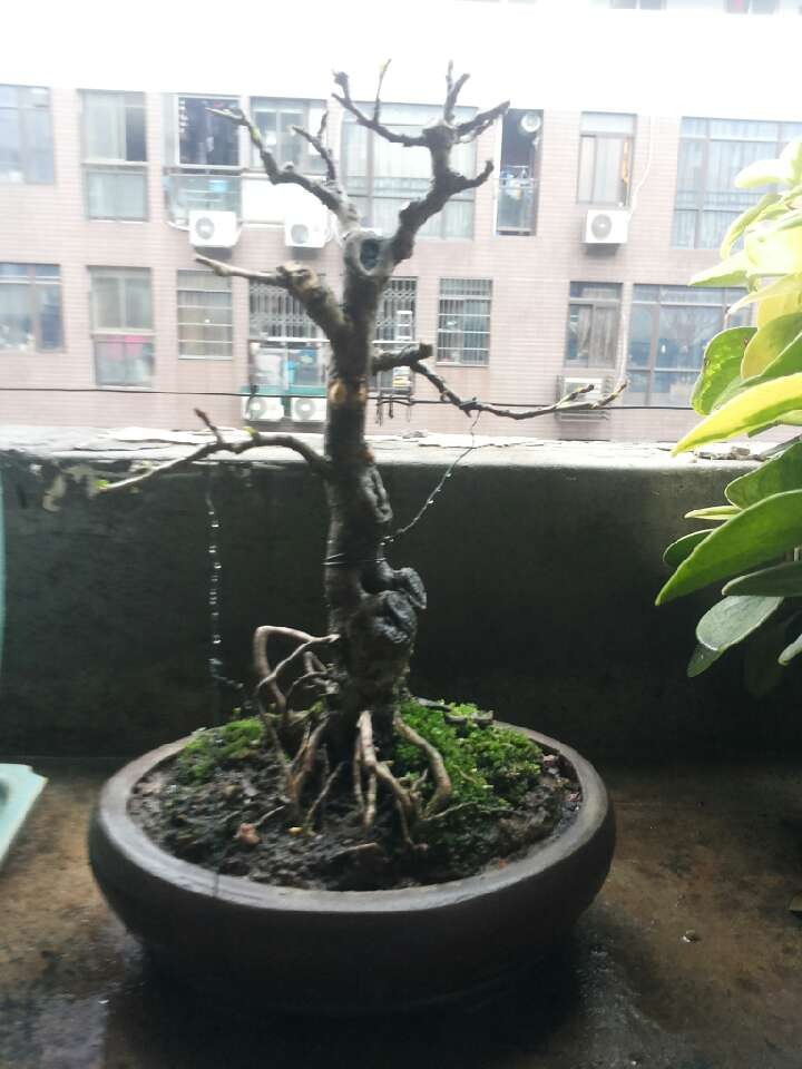 QQͼƬ20140303105852.jpg