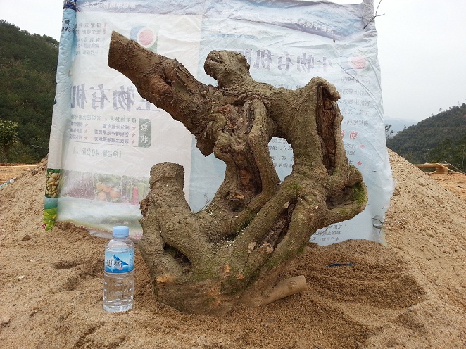 20140302_150420.jpg