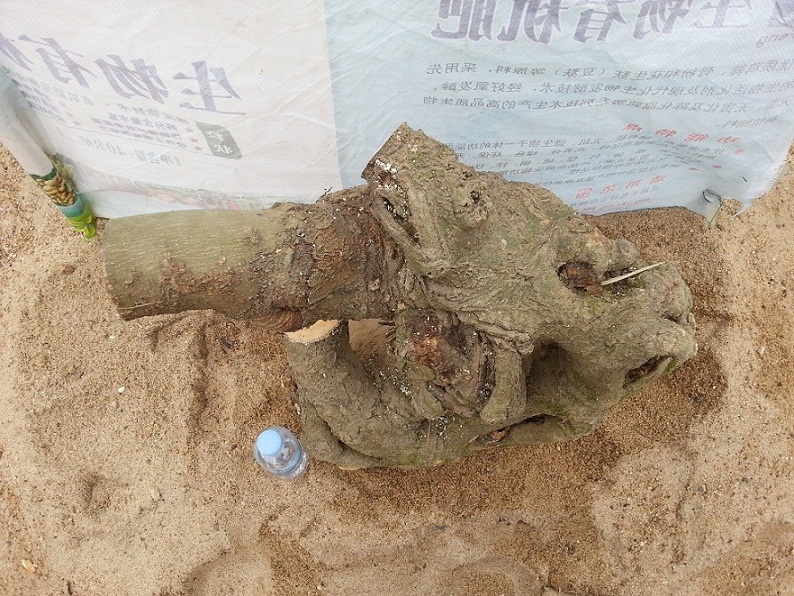 20140302_150433.jpg
