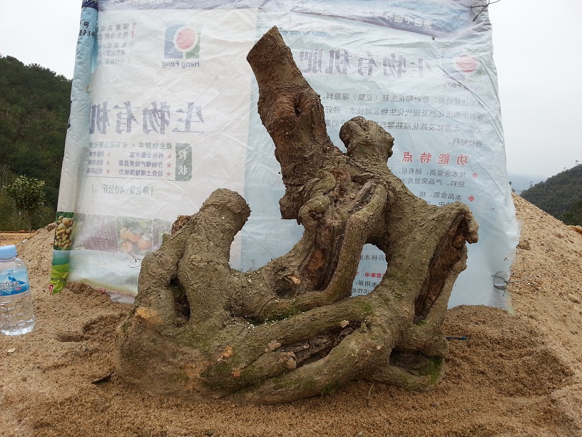 20140302_150545.jpg