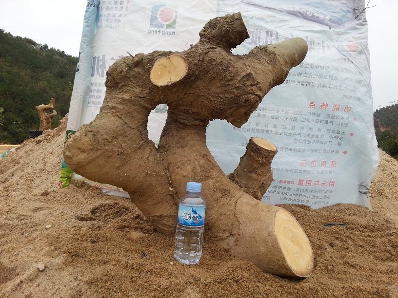 20140302_150741.jpg