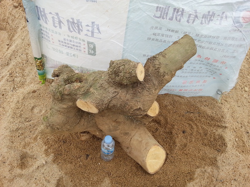 20140302_150747.jpg