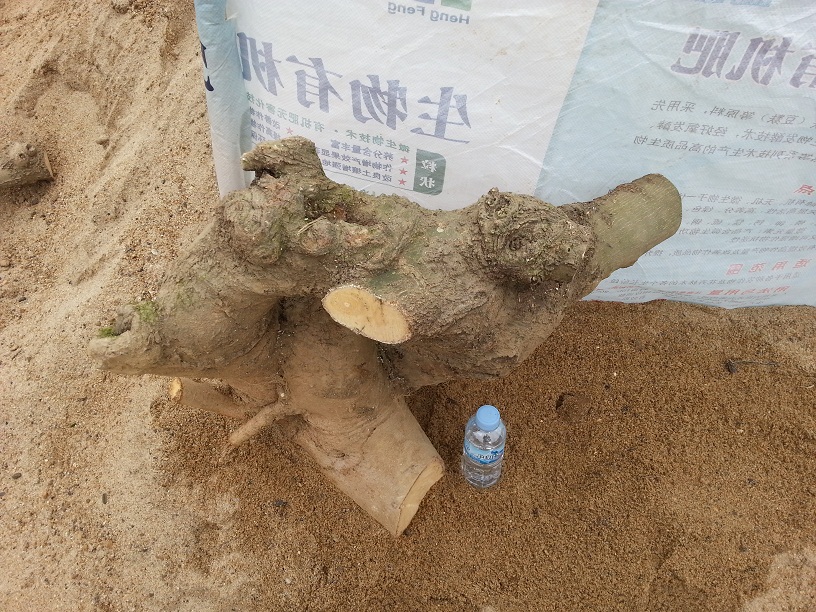 20140302_150855.jpg