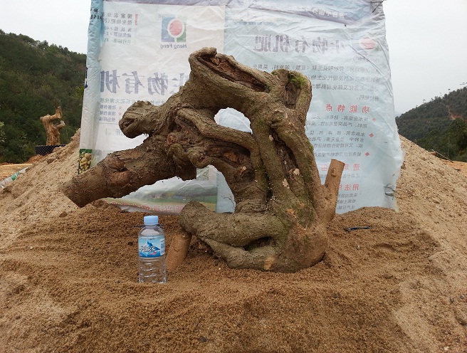 20140302_151135.jpg