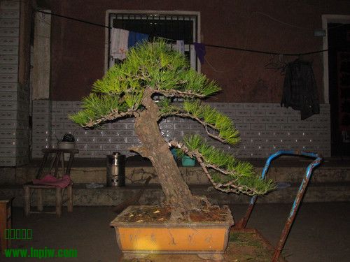 IMG_6966_.jpg