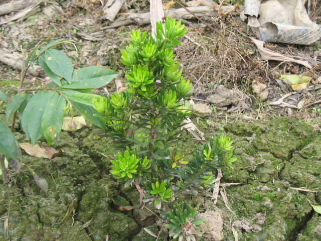 IMG_7763.JPG