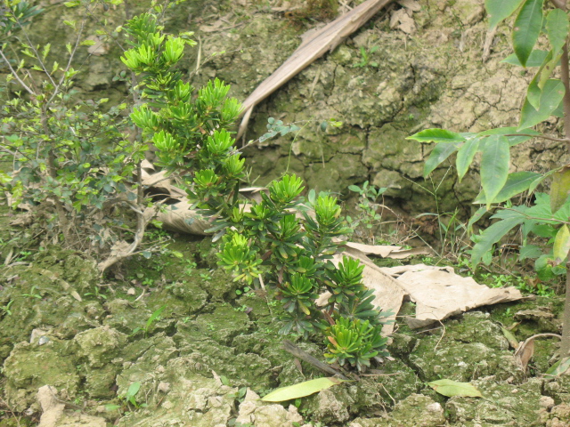 IMG_7765.JPG