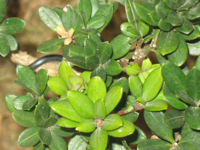 IMG_7627.JPG