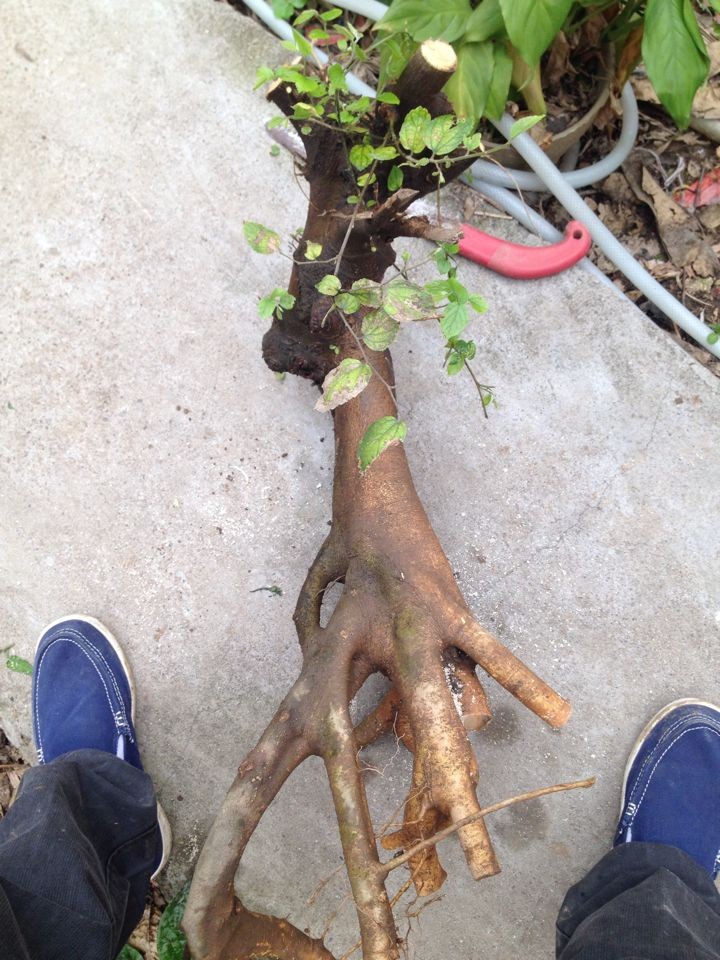 QQͼƬ20140305082754.jpg