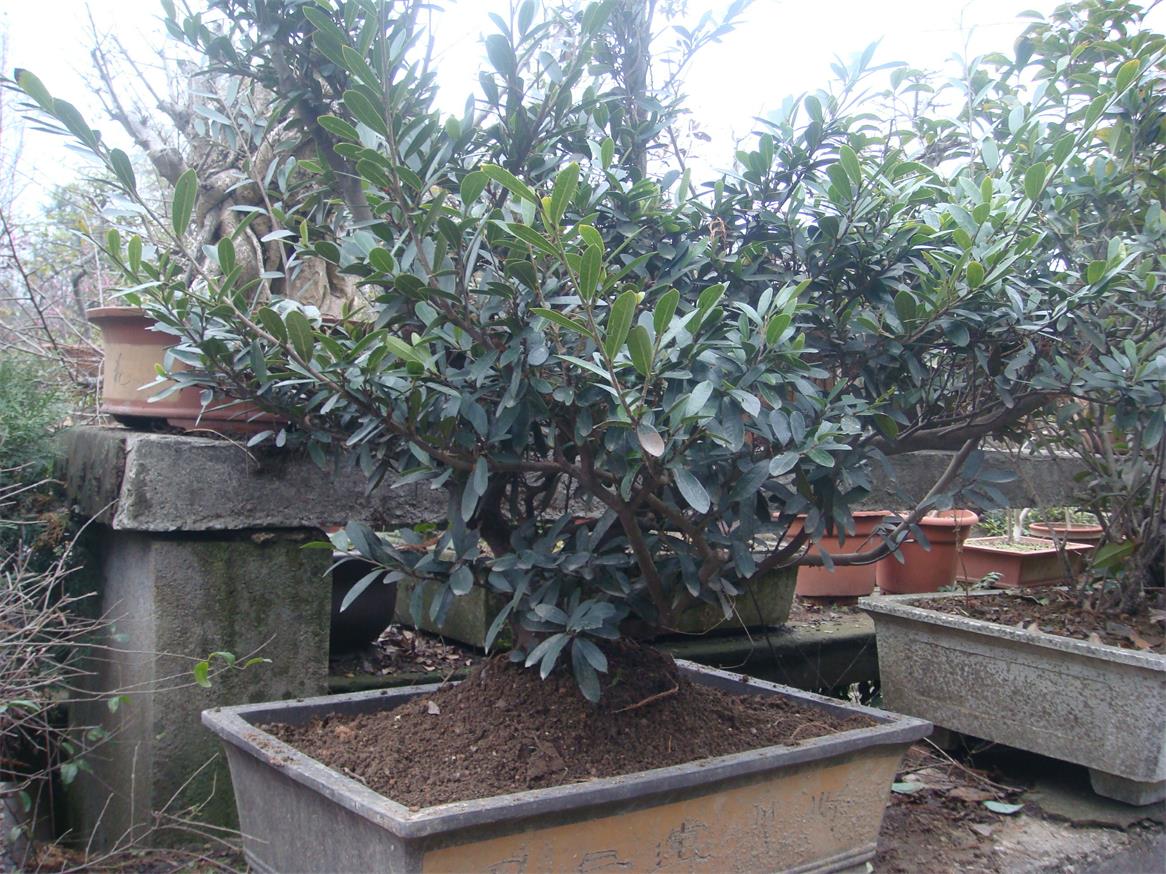 DSC06797_ͼ.jpg