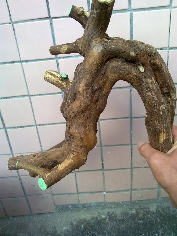 213450vxx5kjok99g1ddzd.jpg.thumb.jpg