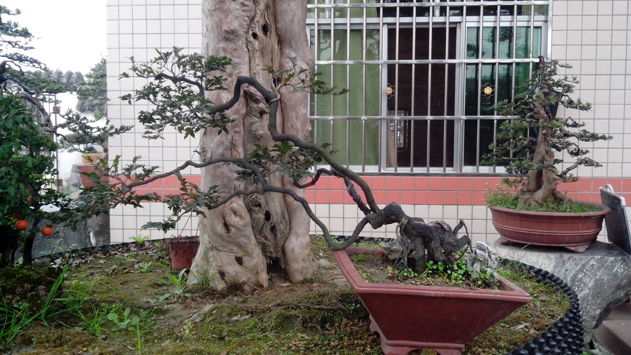 IMG_20140305_101615.jpg