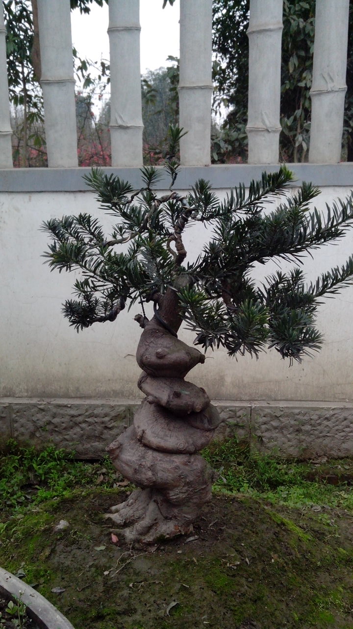 IMG_20140305_110157.jpg