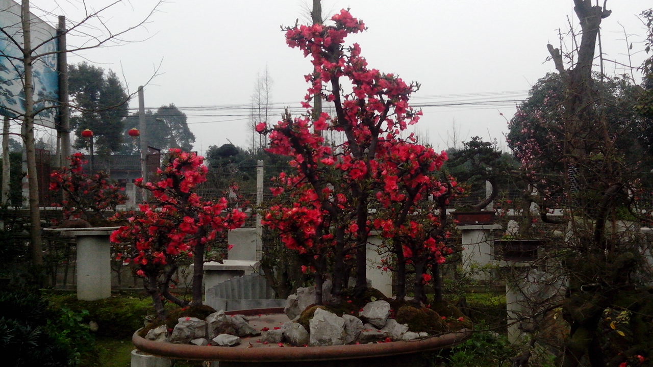 IMG_20140305_093536.jpg
