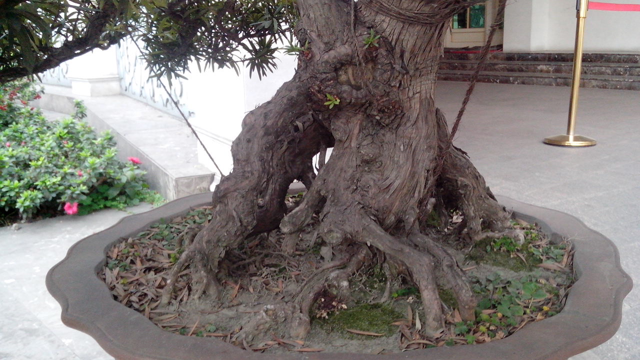 IMG_20140304_153019.jpg