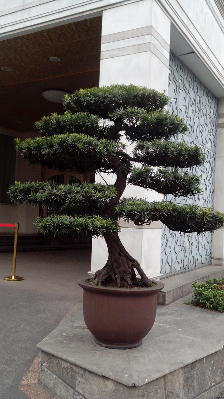 IMG_20140304_153055.jpg