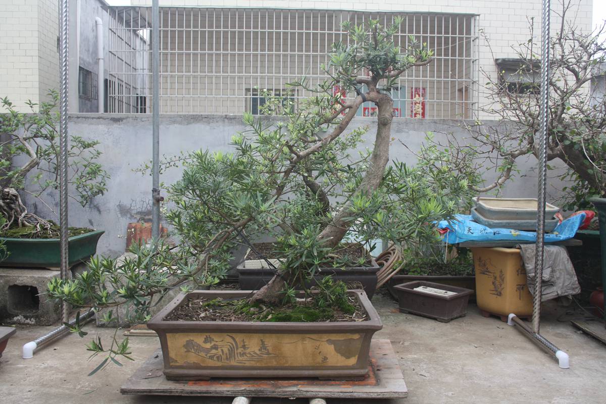 Ƭ20131026ۺ 813.jpg
