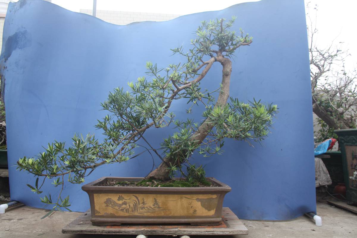 Ƭ20131026ۺ 817.jpg