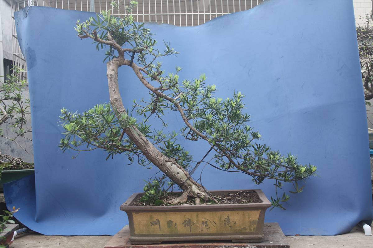 Ƭ20131026ۺ 823.jpg