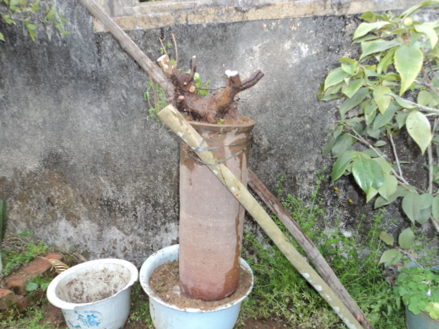 DSC01406.JPG