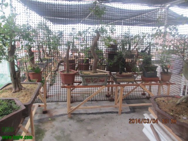 IMG_3929.JPG