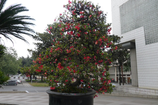 P1020902.JPG