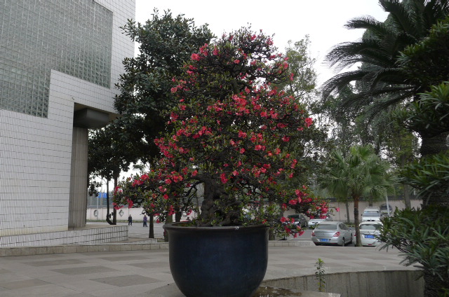 P1020892.JPG