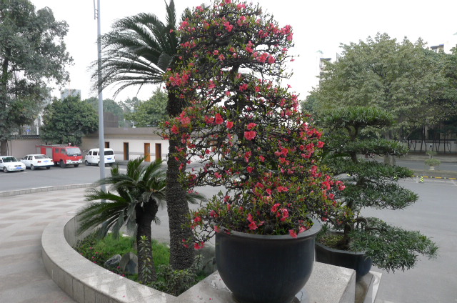 P1020895.JPG