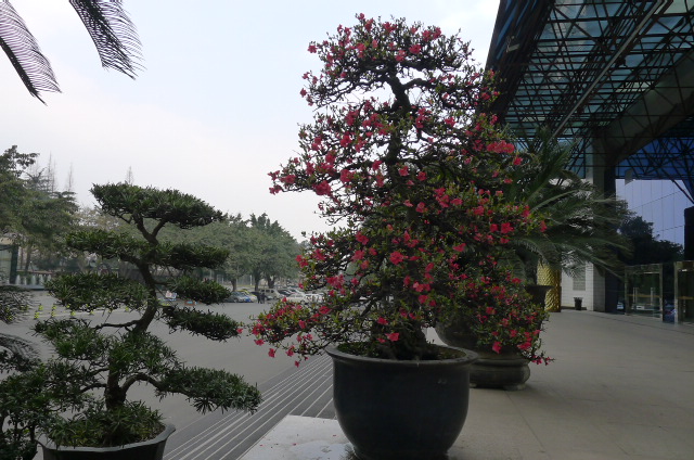 P1020898.JPG