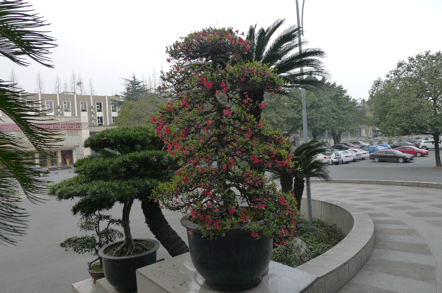 P1020899.JPG
