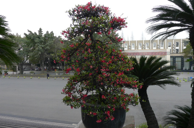 P1020900.JPG