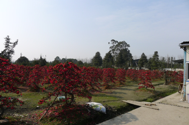 P1020663.JPG