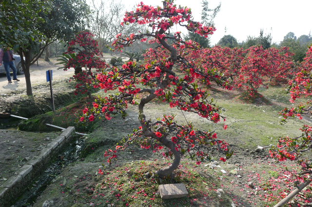 P1020664.JPG