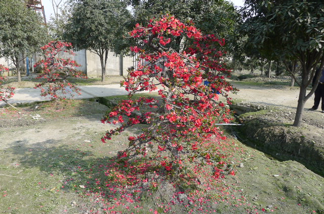 P1020665.JPG