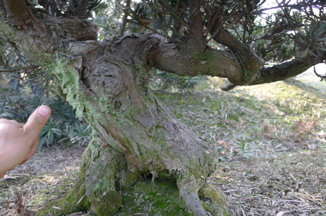 P1020675.JPG