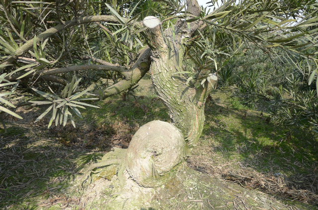 P1020691.JPG