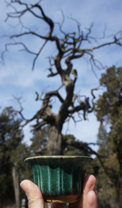 DSC04048.JPG